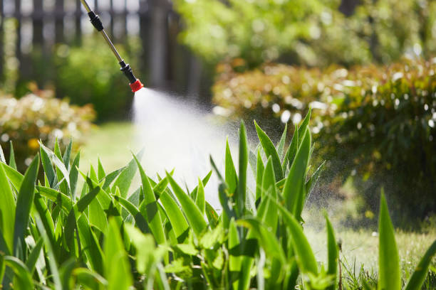 24/7 Emergency Termite Control experts in Offutt AFB, NE