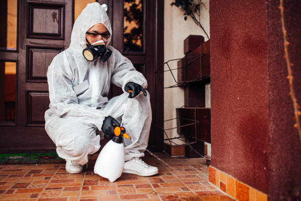 Reliable Termite Control contractor in Offutt AFB, NE by Nex Pest Control